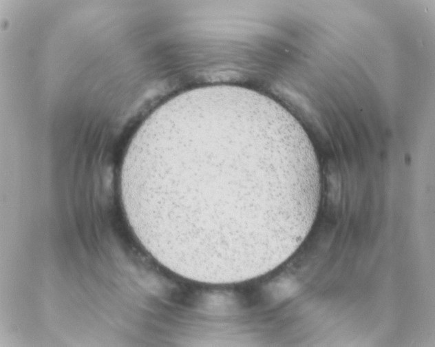 X0000088230308200706051354