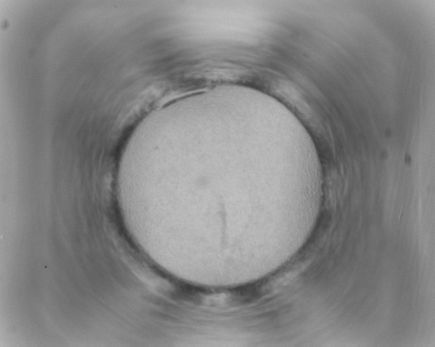 X0000088230309200706051354