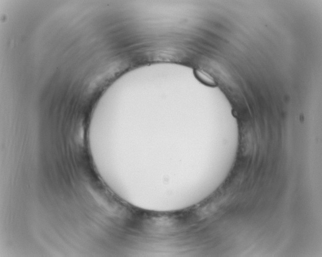 X0000088230310200706051354