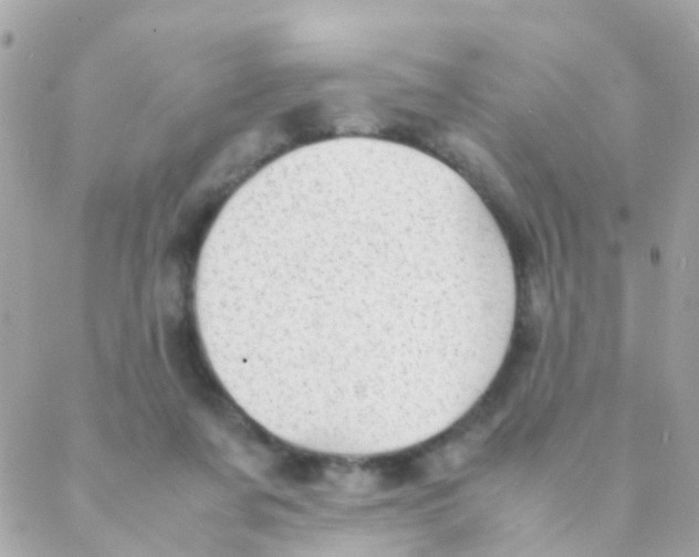 X0000088230311200706051354