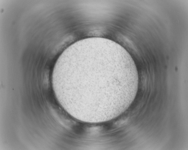 X0000088230312200706051354