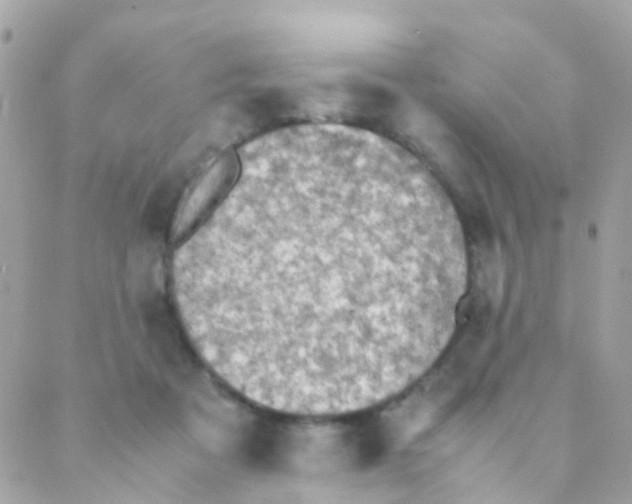 X0000088230313200706051354