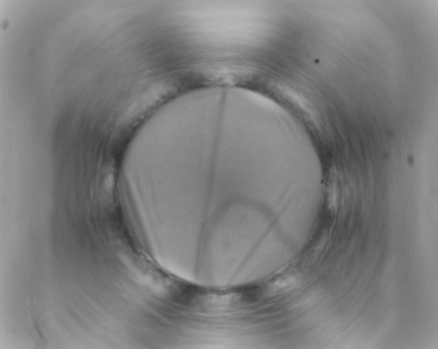 X0000088230314200706051354