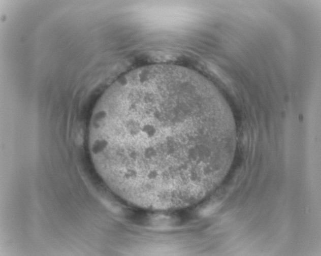 X0000088230315200706051354