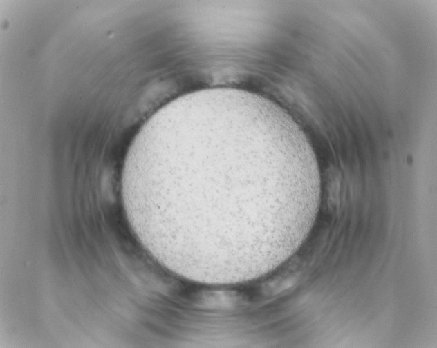 X0000088230316200706051354