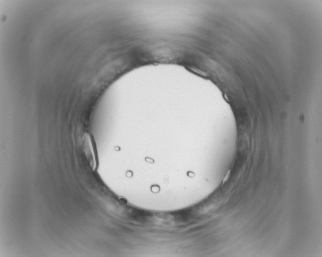 X0000088230317200706051354