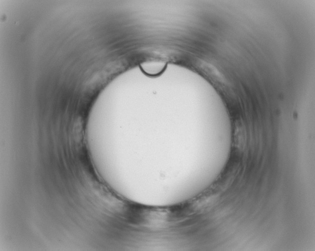 X0000088230318200706051354