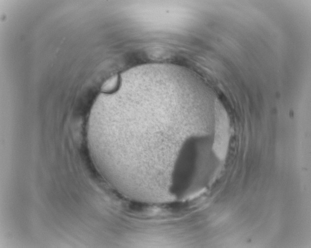 X0000088230319200706051354