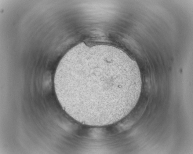 X0000088230320200706051354