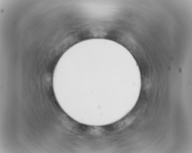 X0000088230321200706051354