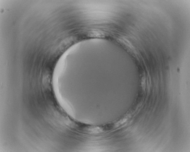 X0000088230322200706051354