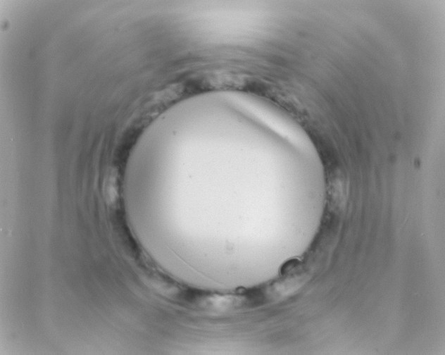 X0000088230323200706051354