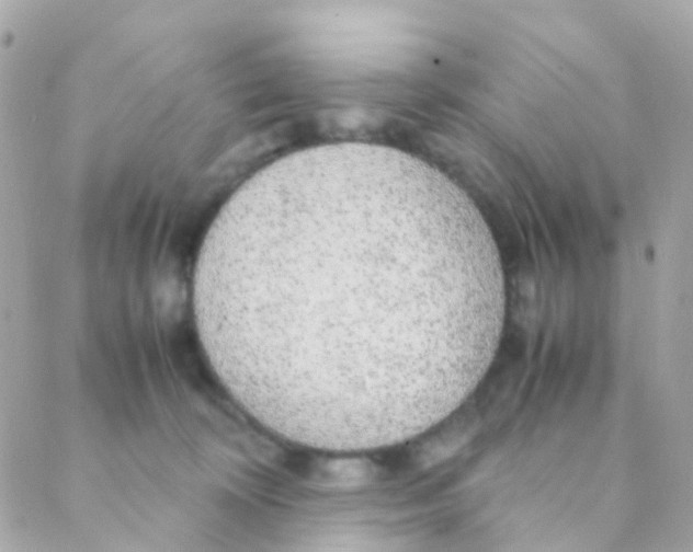 X0000088230324200706051354