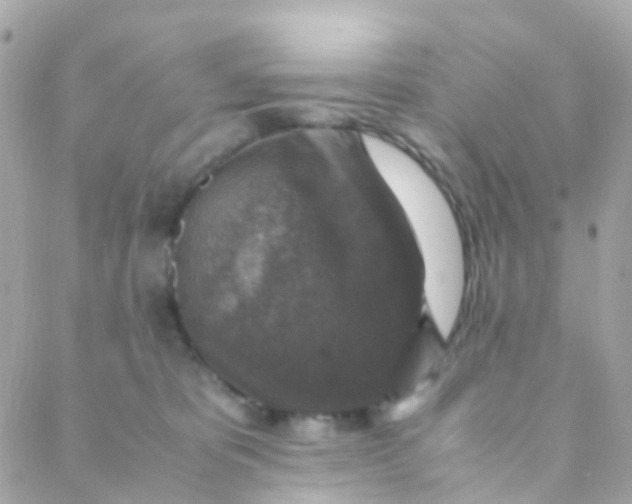 X0000088230325200706051354