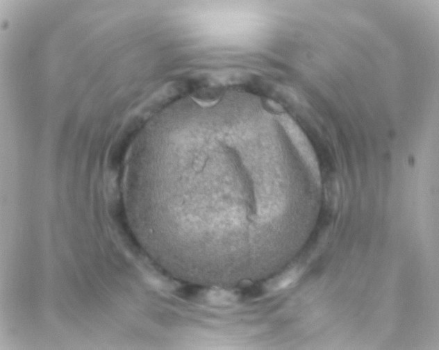 X0000088230327200706051354