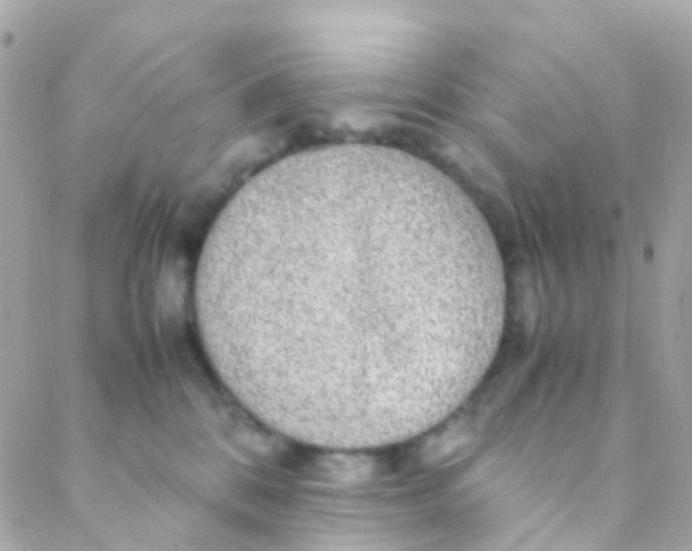 X0000088230328200706051354