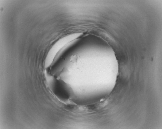 X0000088230329200706051354