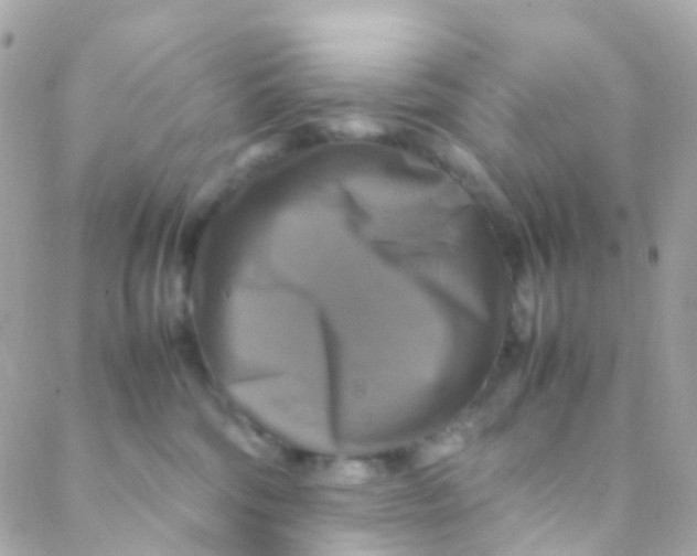 X0000088230330200706051354