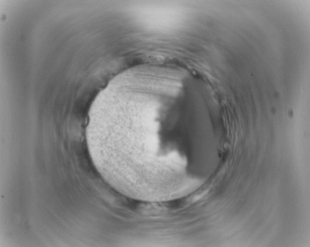 X0000088230331200706051354