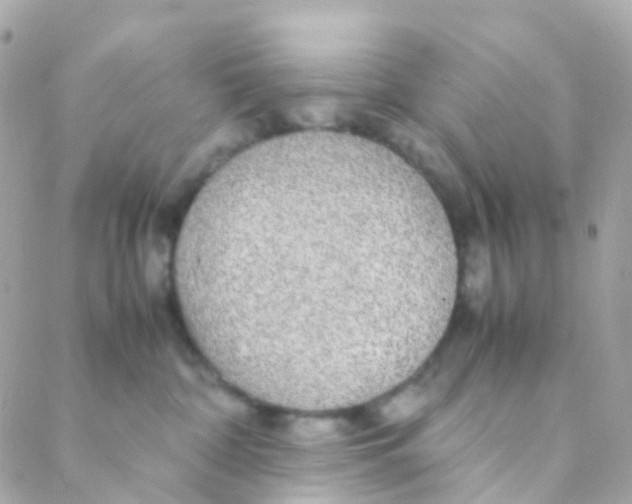 X0000088230332200706051354