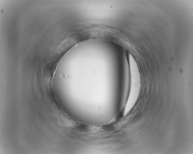 X0000088230333200706051354