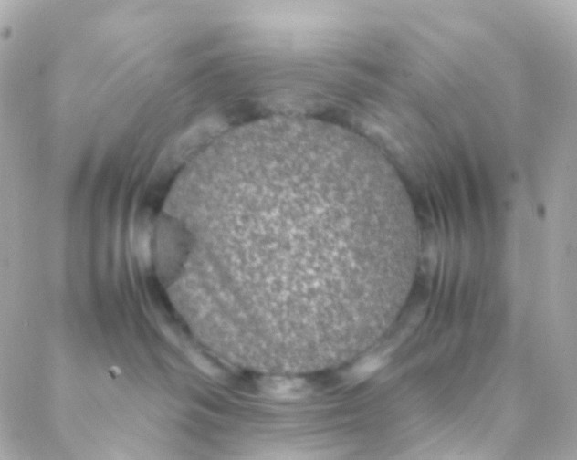 X0000088230334200706051354