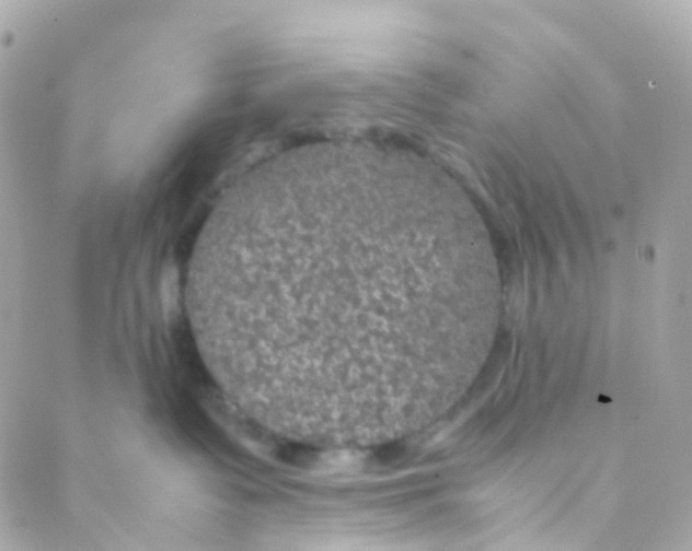 X0000088230335200706051354