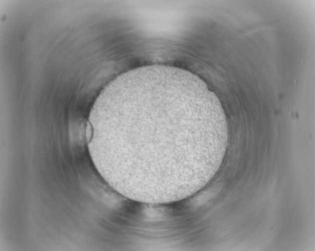 X0000088230336200706051354