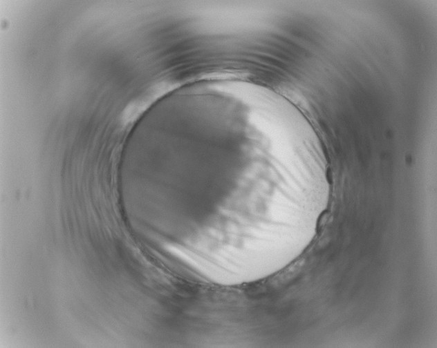 X0000088230337200706051353