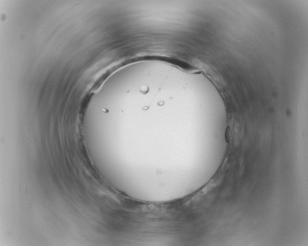 X0000088230338200706051353