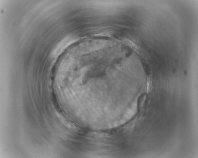 X0000088230339200706051353