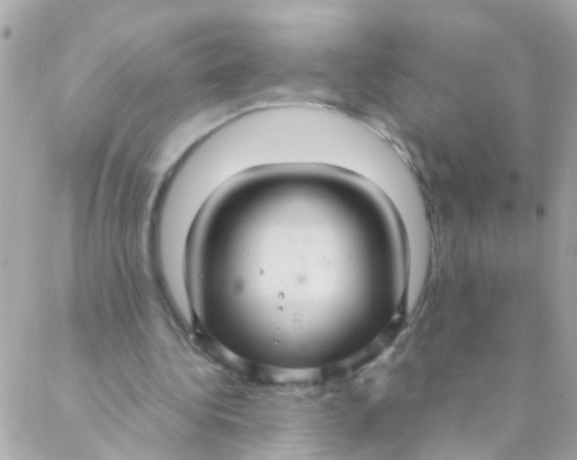 X0000088230340200706051353