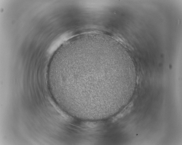 X0000088230341200706051353