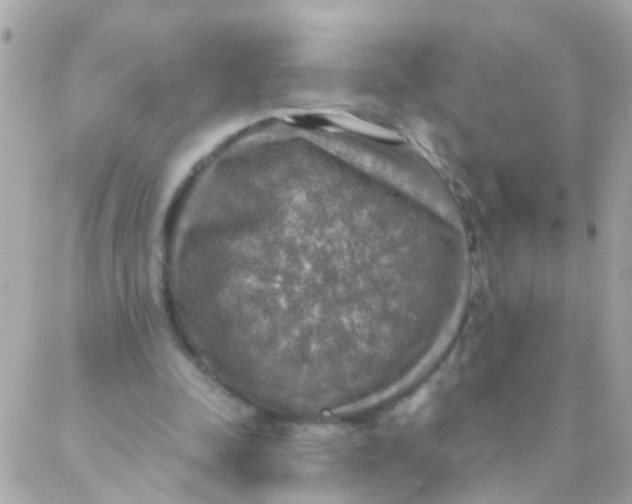 X0000088230342200706051353