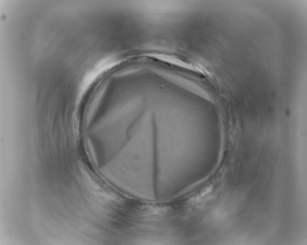 X0000088230343200706051353