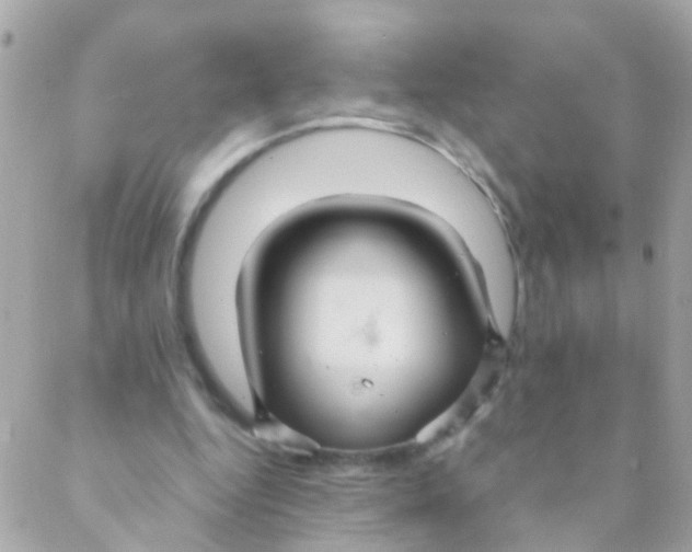 X0000088230344200706051353