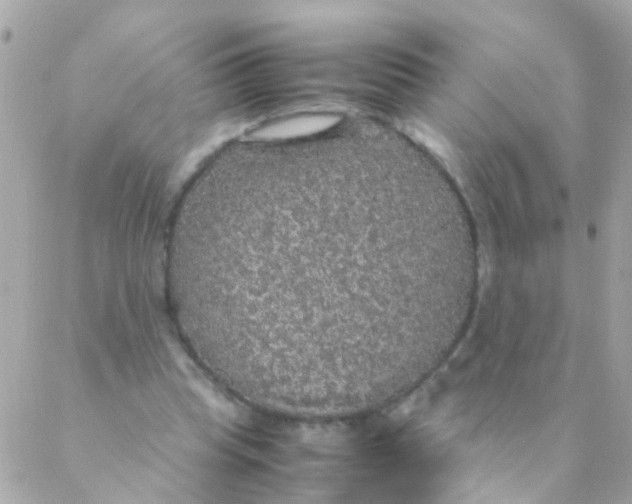 X0000088230345200706051353