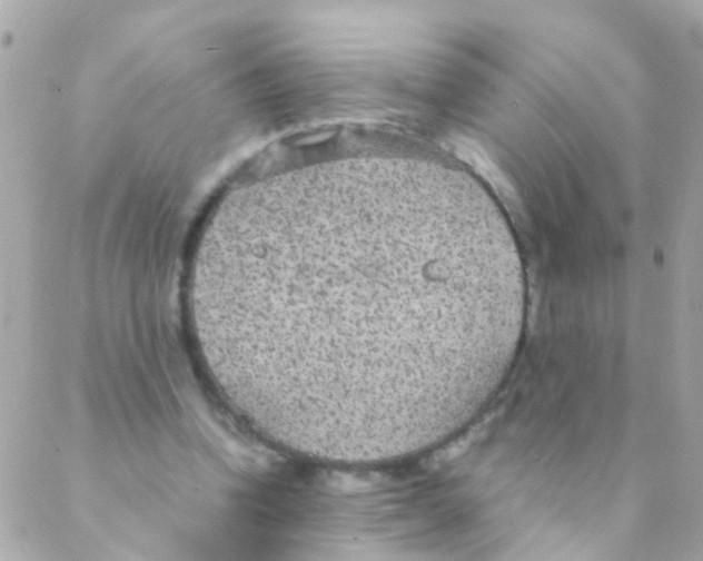 X0000088230346200706051353