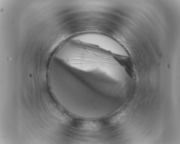 X0000088230347200706051353