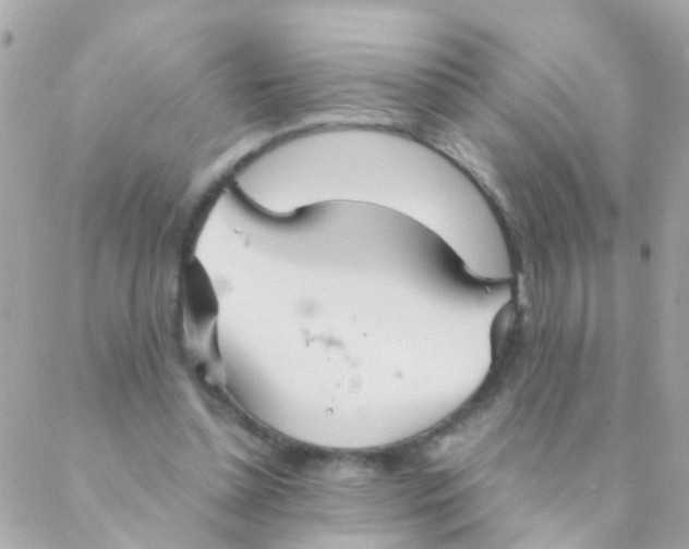 X0000088230348200706051353