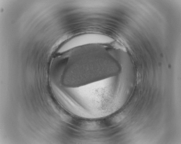 X0000088230349200706051353