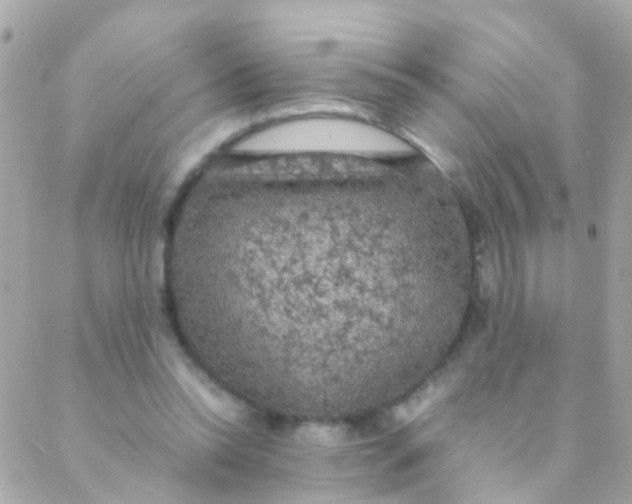 X0000088230350200706051353