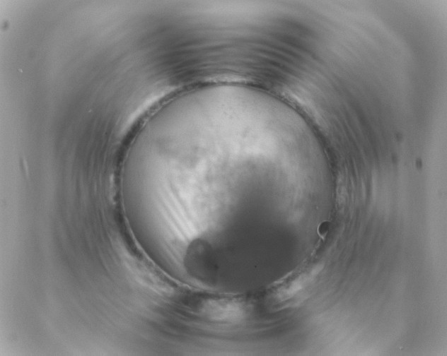 X0000088230351200706051353