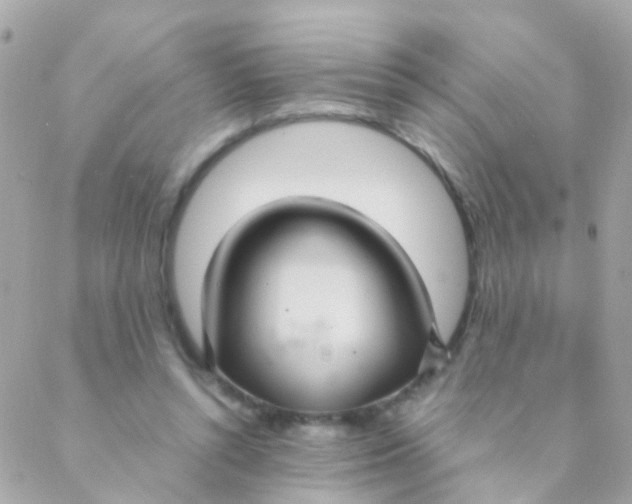 X0000088230352200706051353