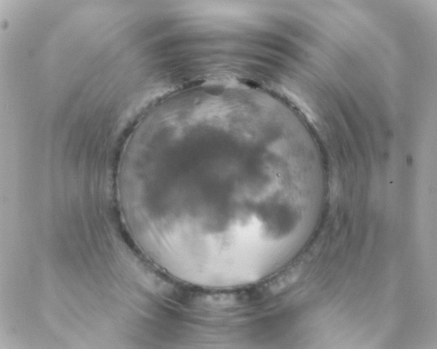 X0000088230353200706051353