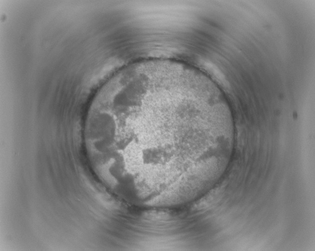 X0000088230354200706051353