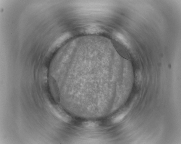 X0000088230356200706051353