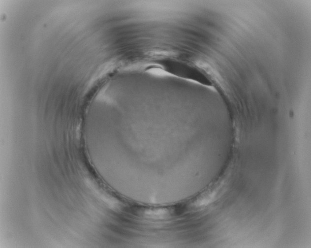 X0000088230357200706051353