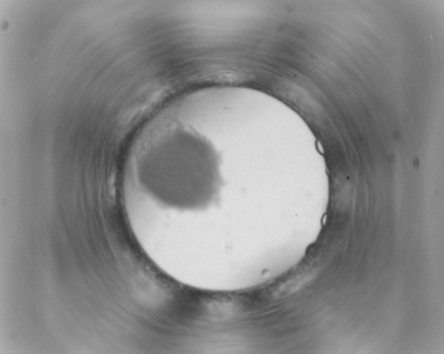 X0000088230358200706051353