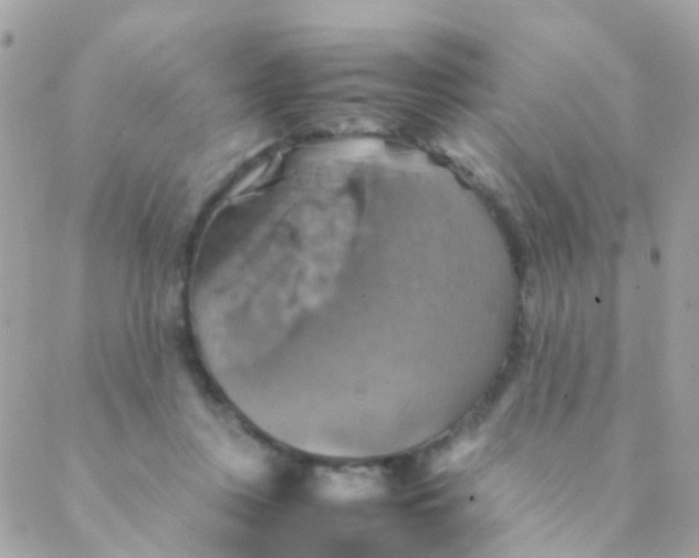 X0000088230359200706051353